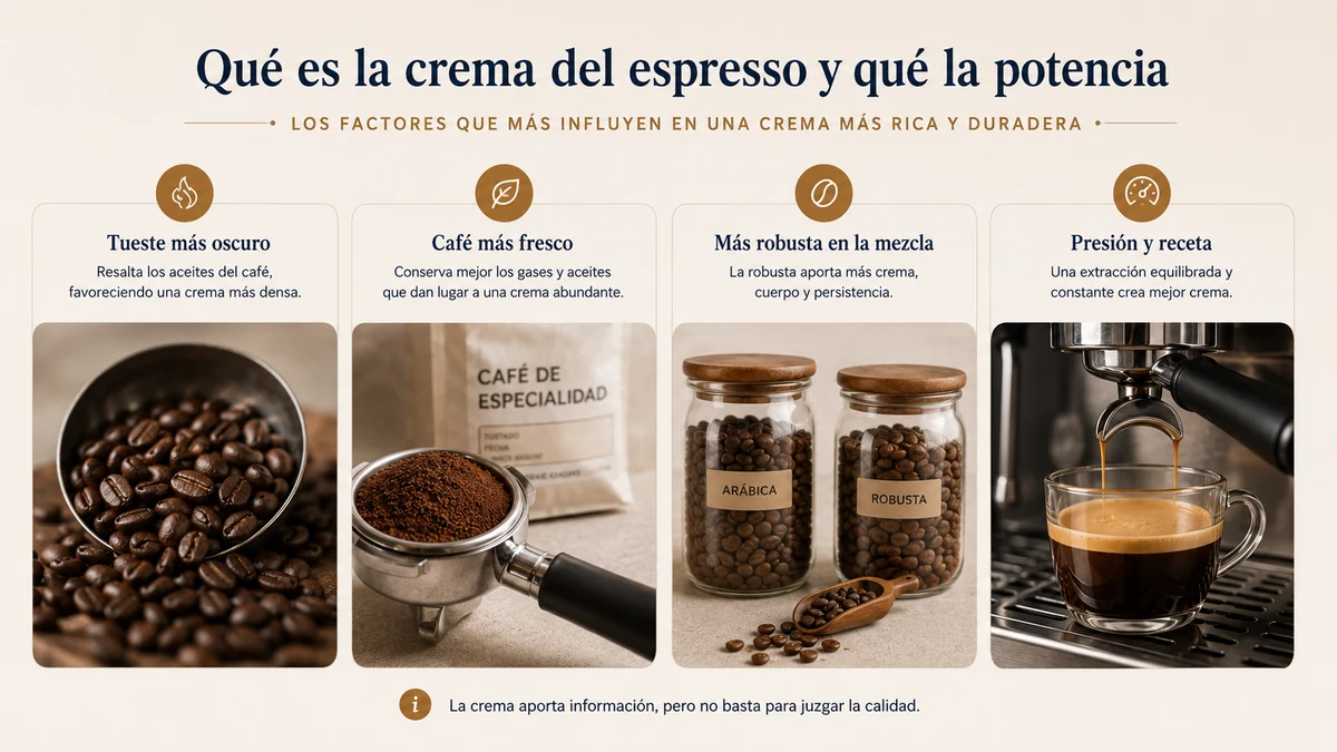Esquema de los cuatro factores que potencian la crema del espresso: frescura del tueste, tipo de tueste, especie de grano (Arábica o Robusta) y frescura del molido